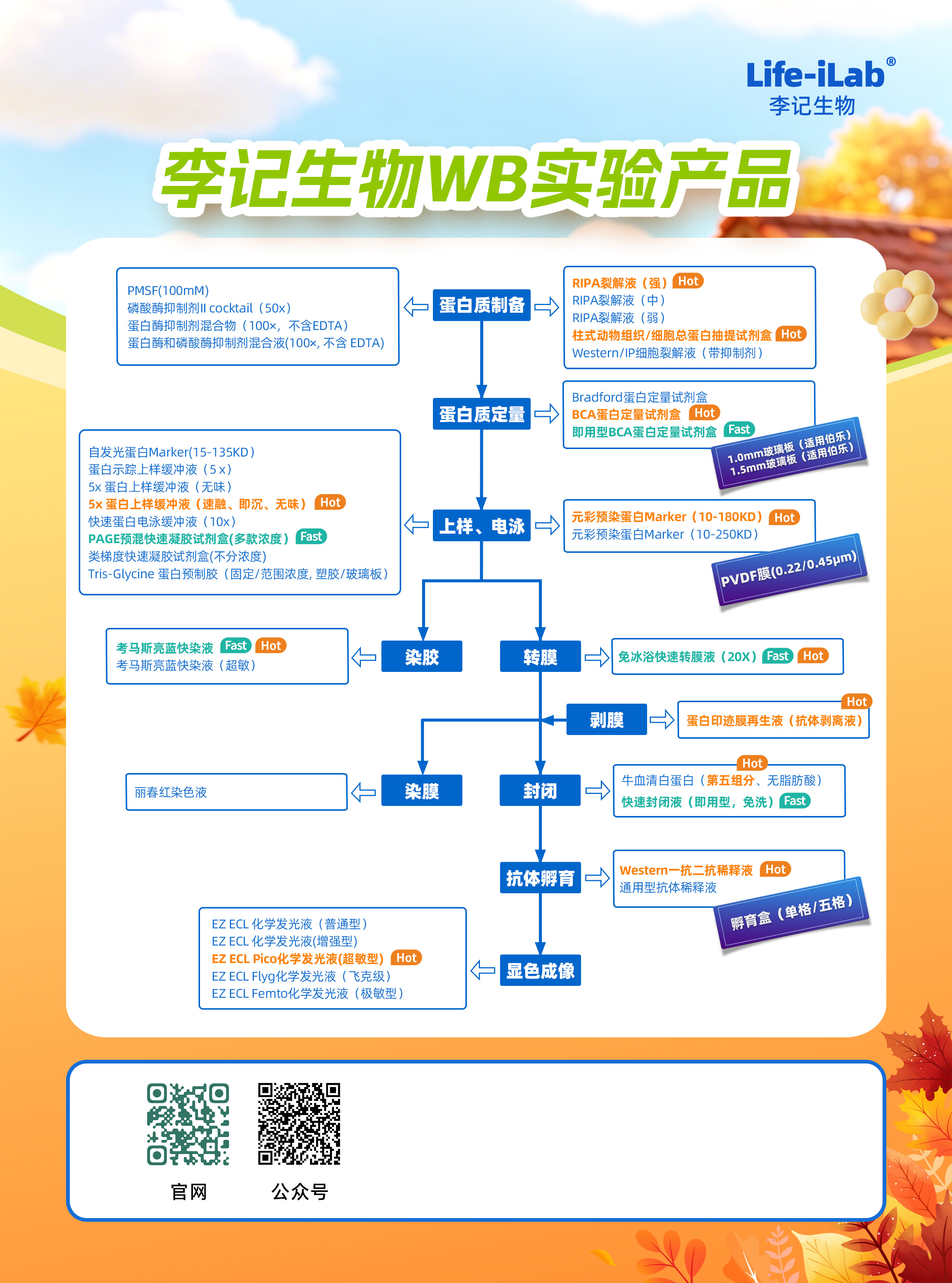 /ueditor/image/20260819/1787122662062068/画板 1 拷贝.jpg 画板 1 拷贝.jpg
